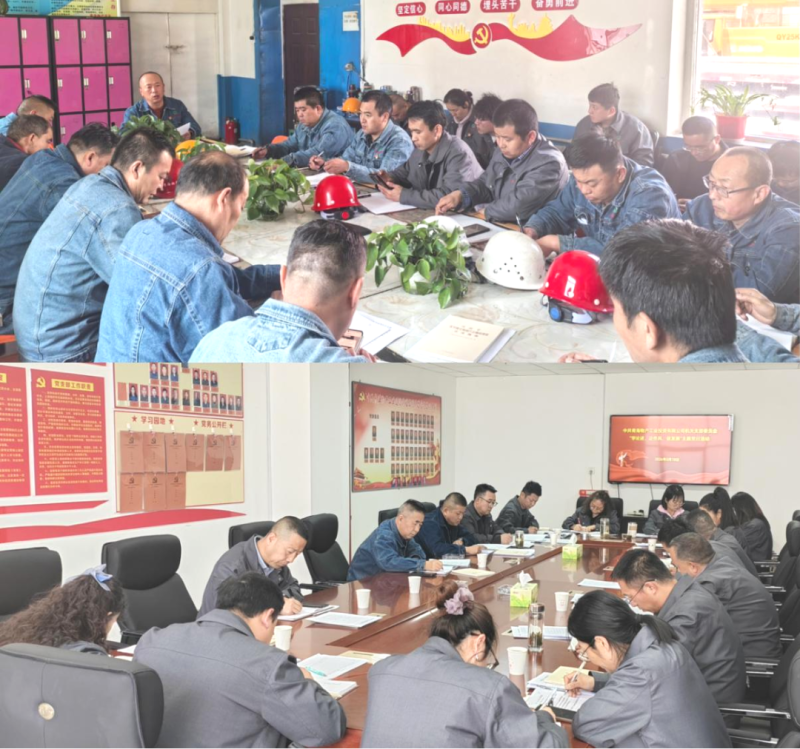 工投公司所屬各黨支部開展主題黨日活動