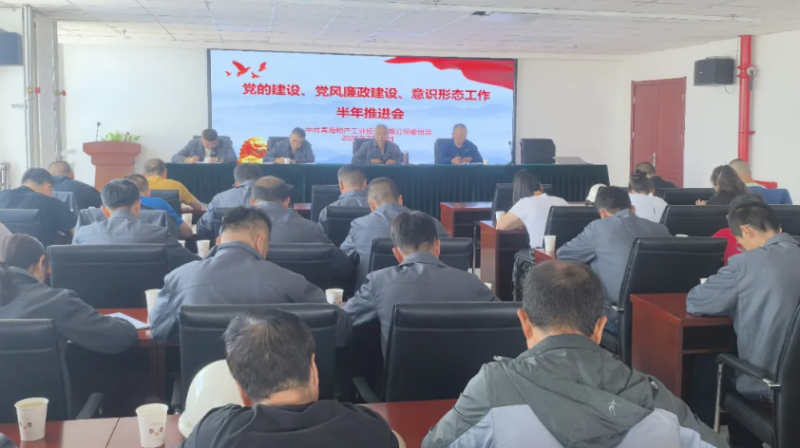 工投公司黨委召開黨的建設(shè)、黨風(fēng)廉政建設(shè)、意識形態(tài)工作半年推進(jìn)會